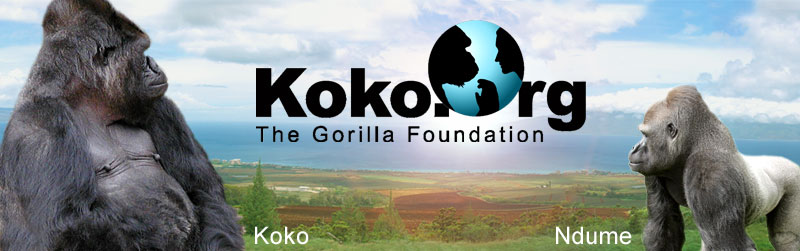 https://www.koko.org/special/enewsletter/2019-03-25_R1_Ndume_Koko/images/MauiPanorama_Koko.org.jpg