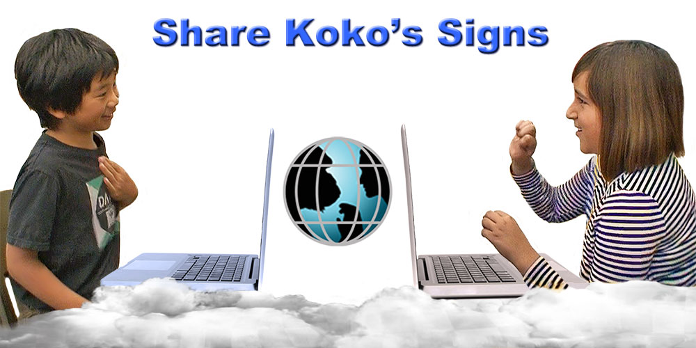 Share Kokos Signs