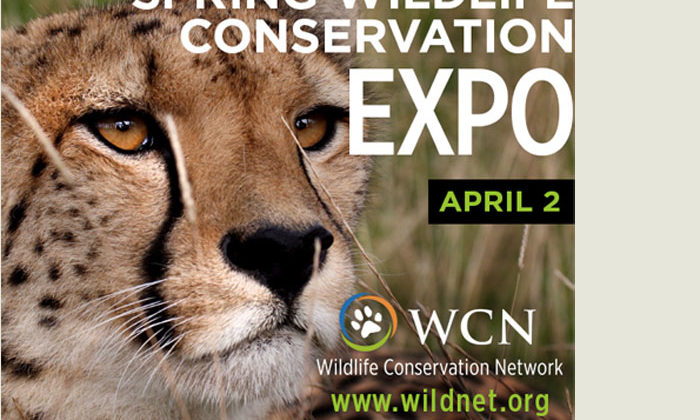 Wildlife Conservation Network