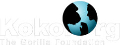 The Gorilla Foundation