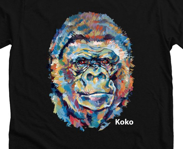 Krijo Stalka Sammlung CDs Tshirts Poster good usw 3K Cone Gorilla